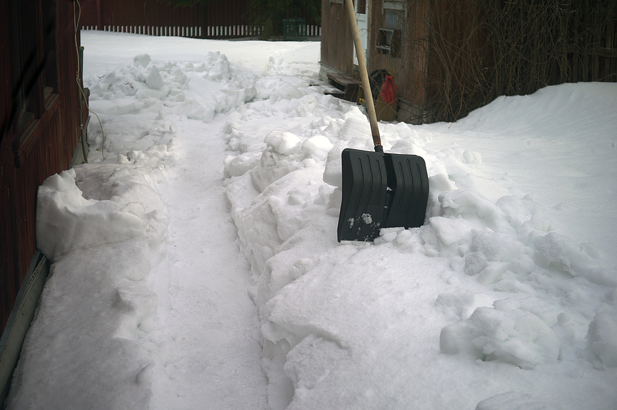 A shovel and cleared pathin yard