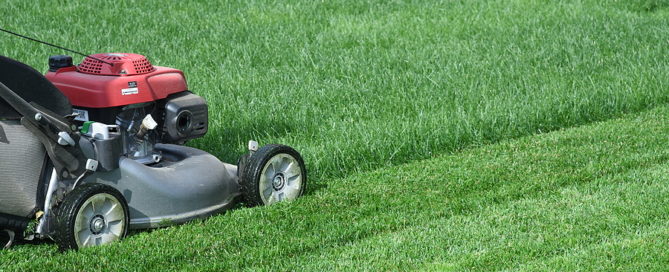 lawnmower cutting grass in the backyard