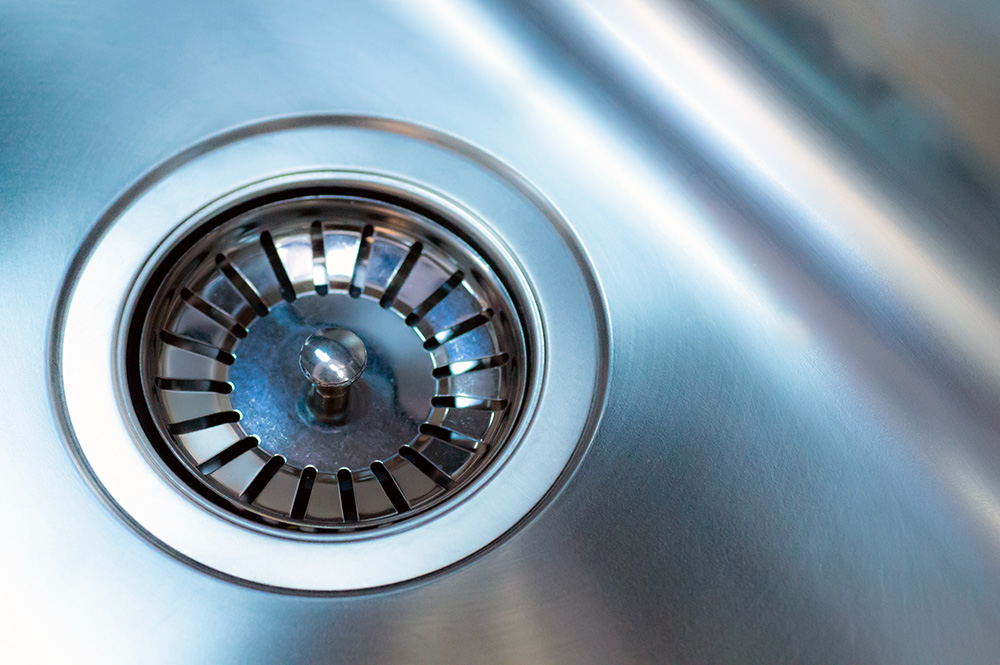 sink drain in a metal sink - animals in the pipes or plumbing concept